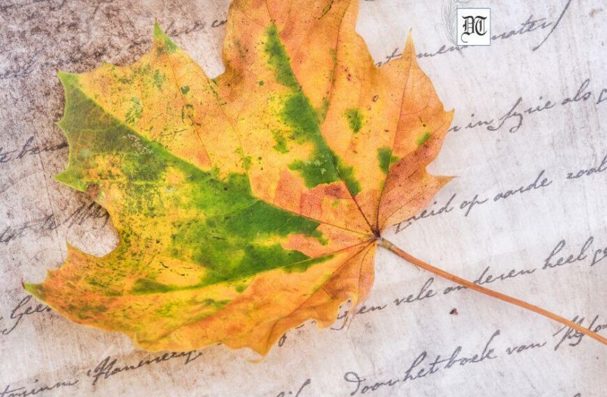 Aquarius/Living out of Poem