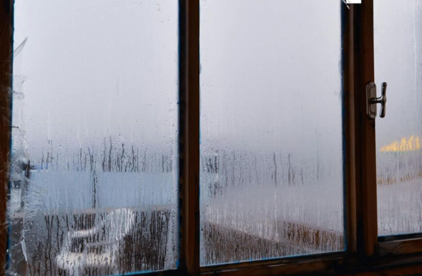 Penchant for Petrichor