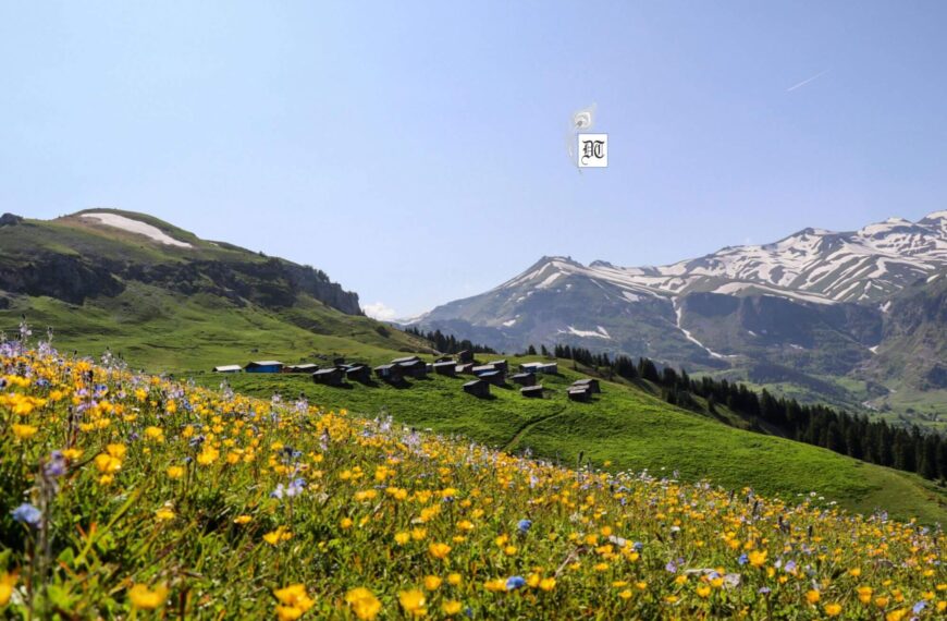 Summer Breeze…Musical