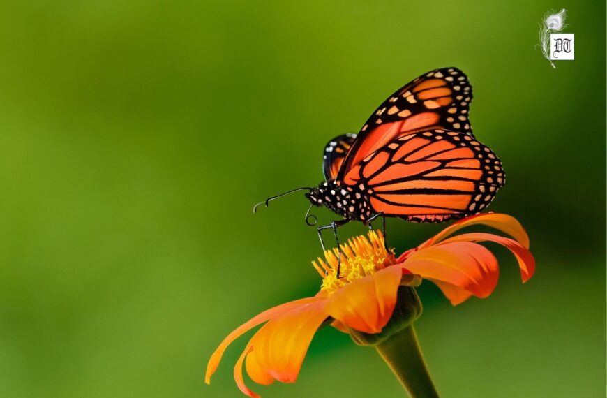 A Sublime Nature Poem