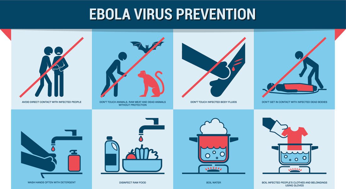 Лихорадка эбола пути передачи. Эбола 2022 лихорадка симптомы. Клинические проявления лихорадки эбола. Как передается эбола человеку от человека. Процесс заражения эболы.