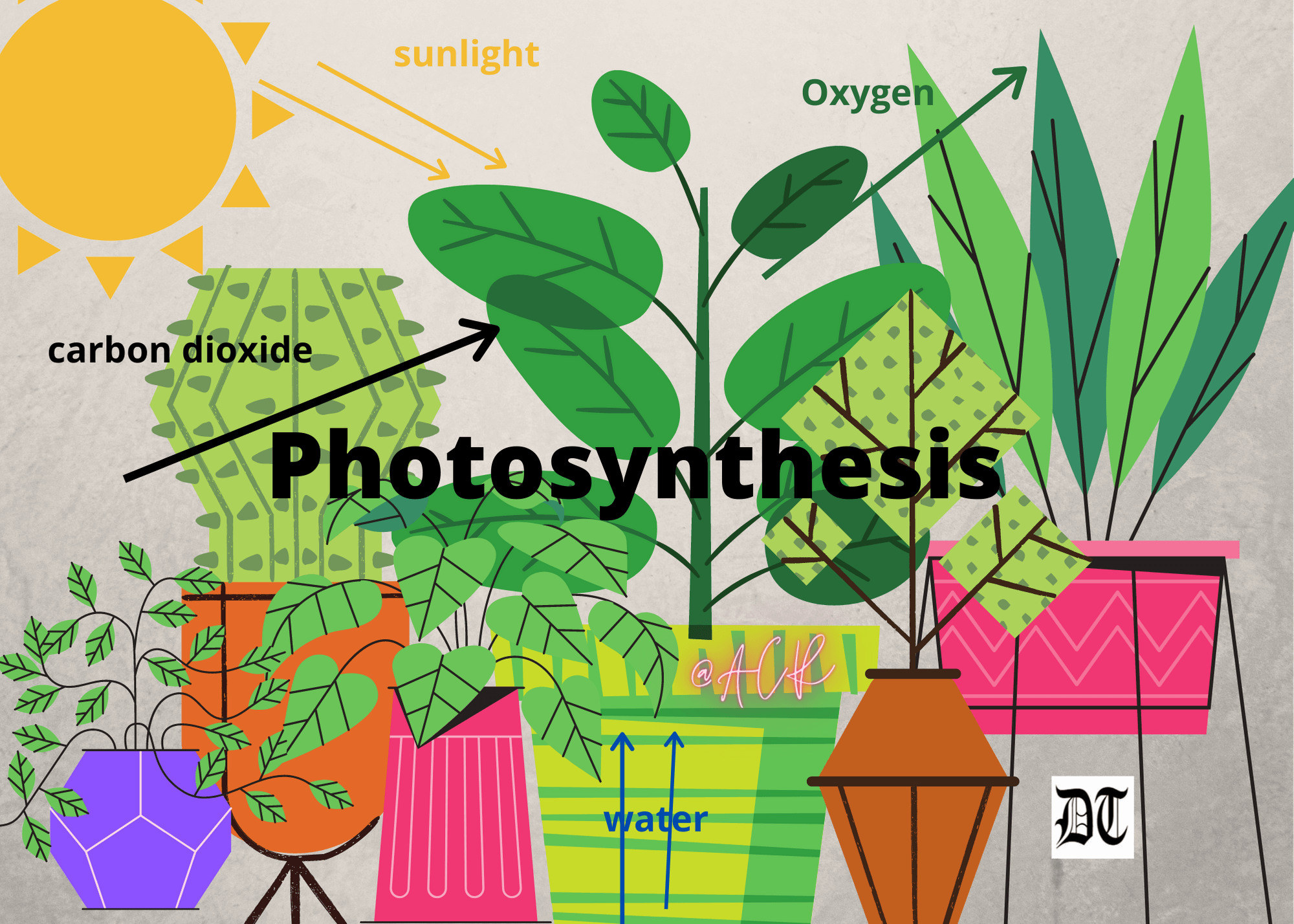 Photosynthesis jan ingenhousz image