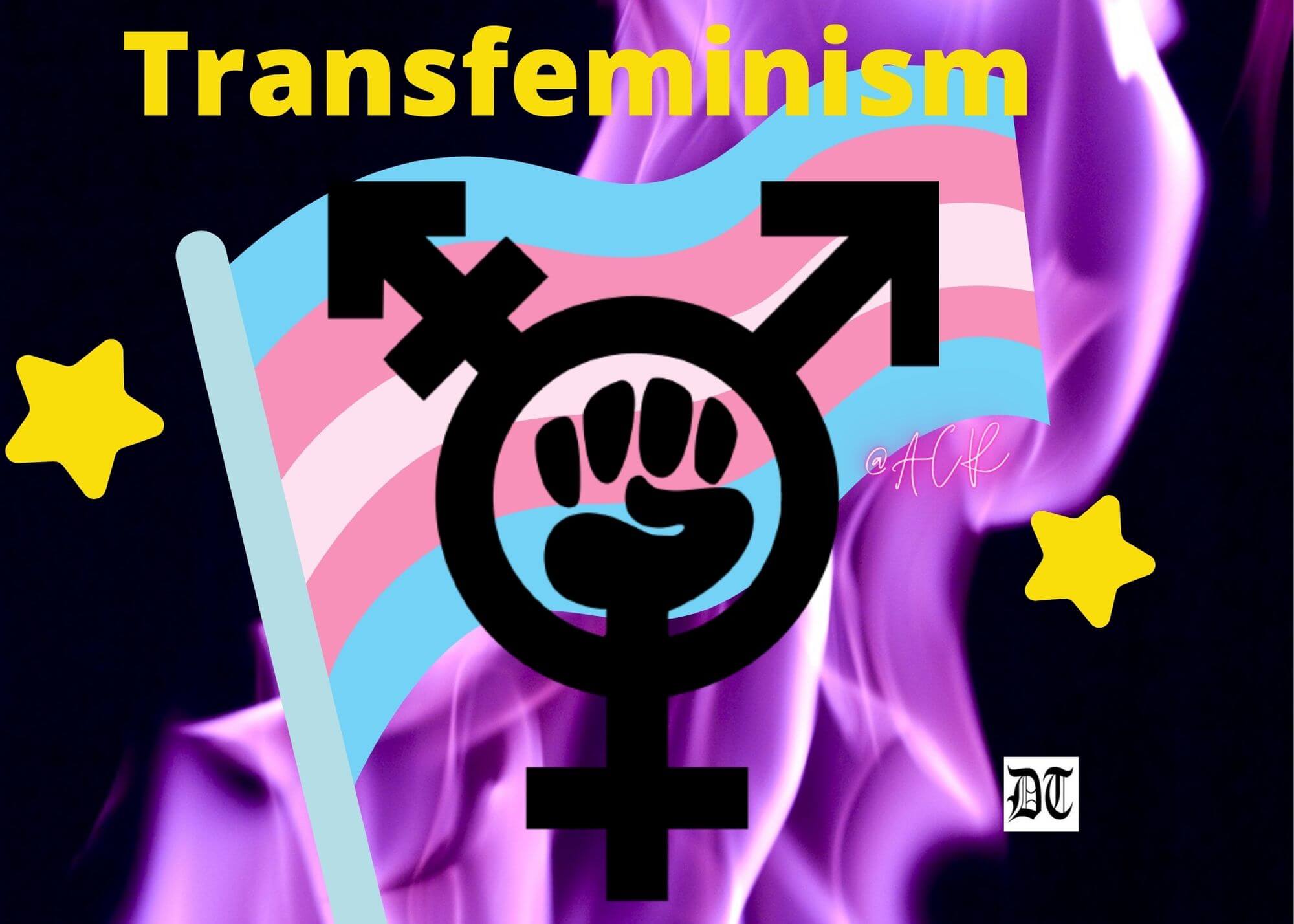 Will Transfeminism be a New Movement in India?