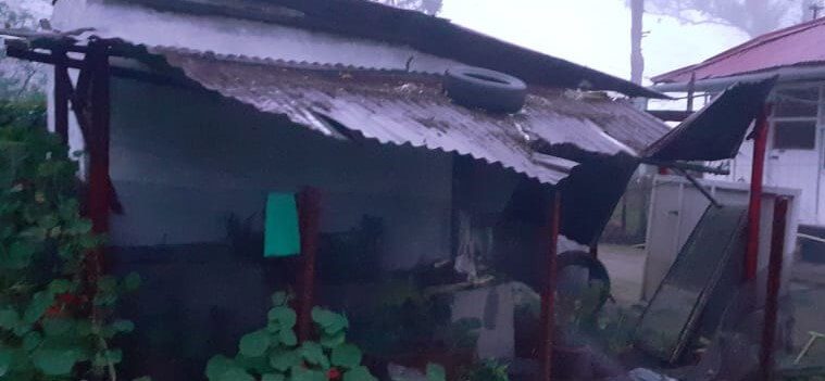 Wild Elephants and a Scary Night to Remember!