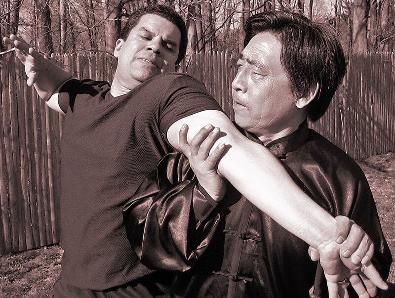 Stephan: Manifesting my 8 Powers from Martial Art – II