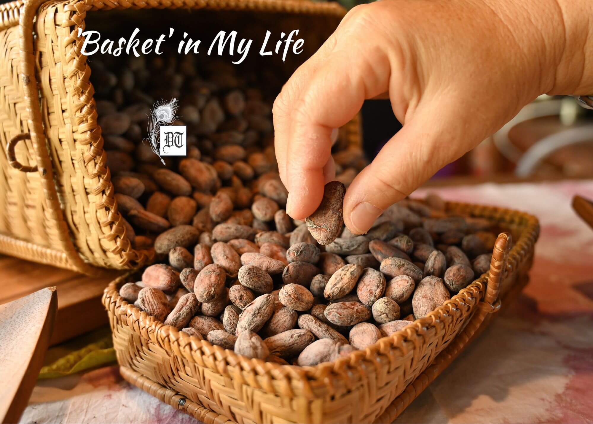 The Many Meanings of ‘Basket’ in My Life Different Truths