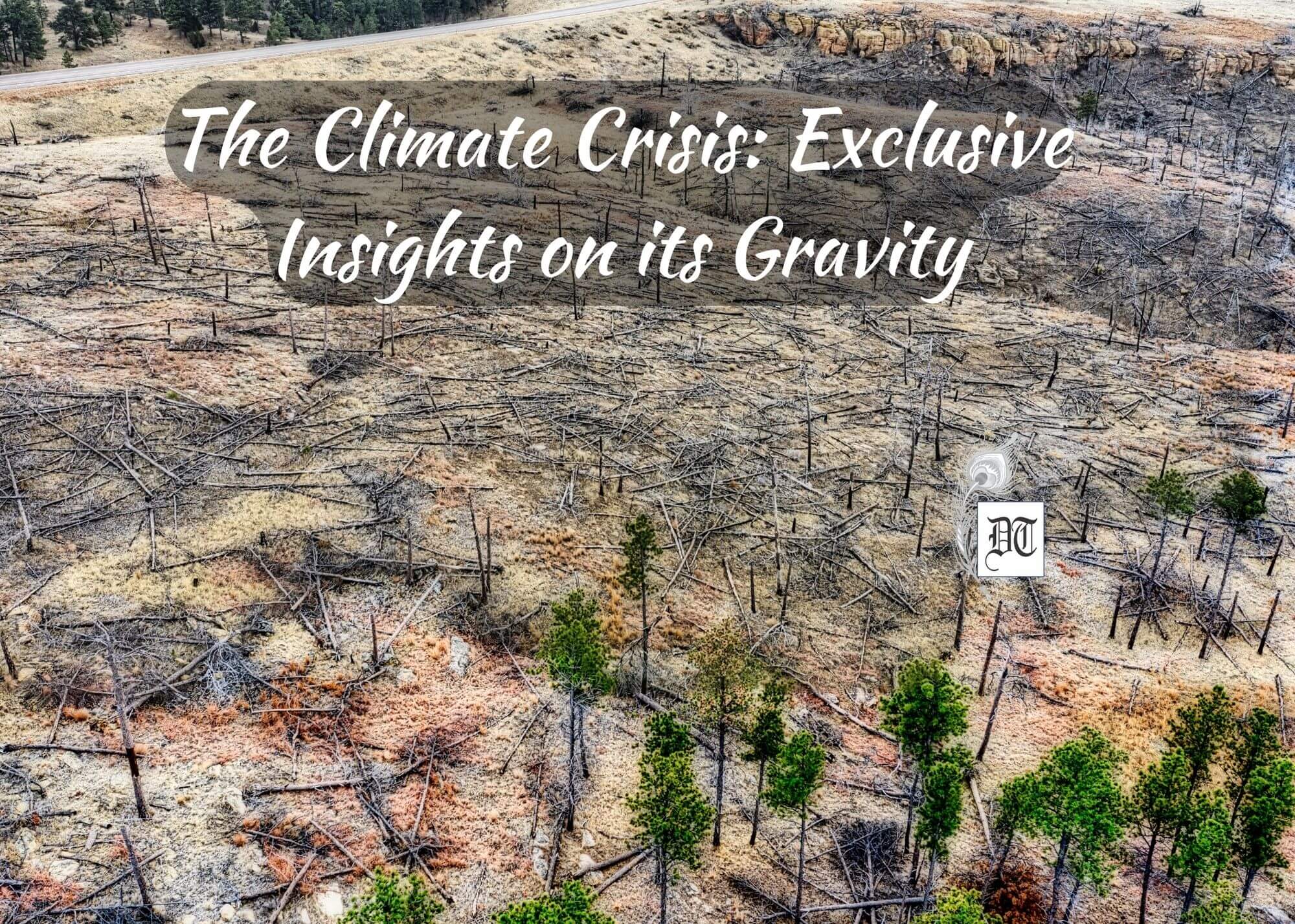 The Climate Crisis: Exclusive Insights on its Gravity