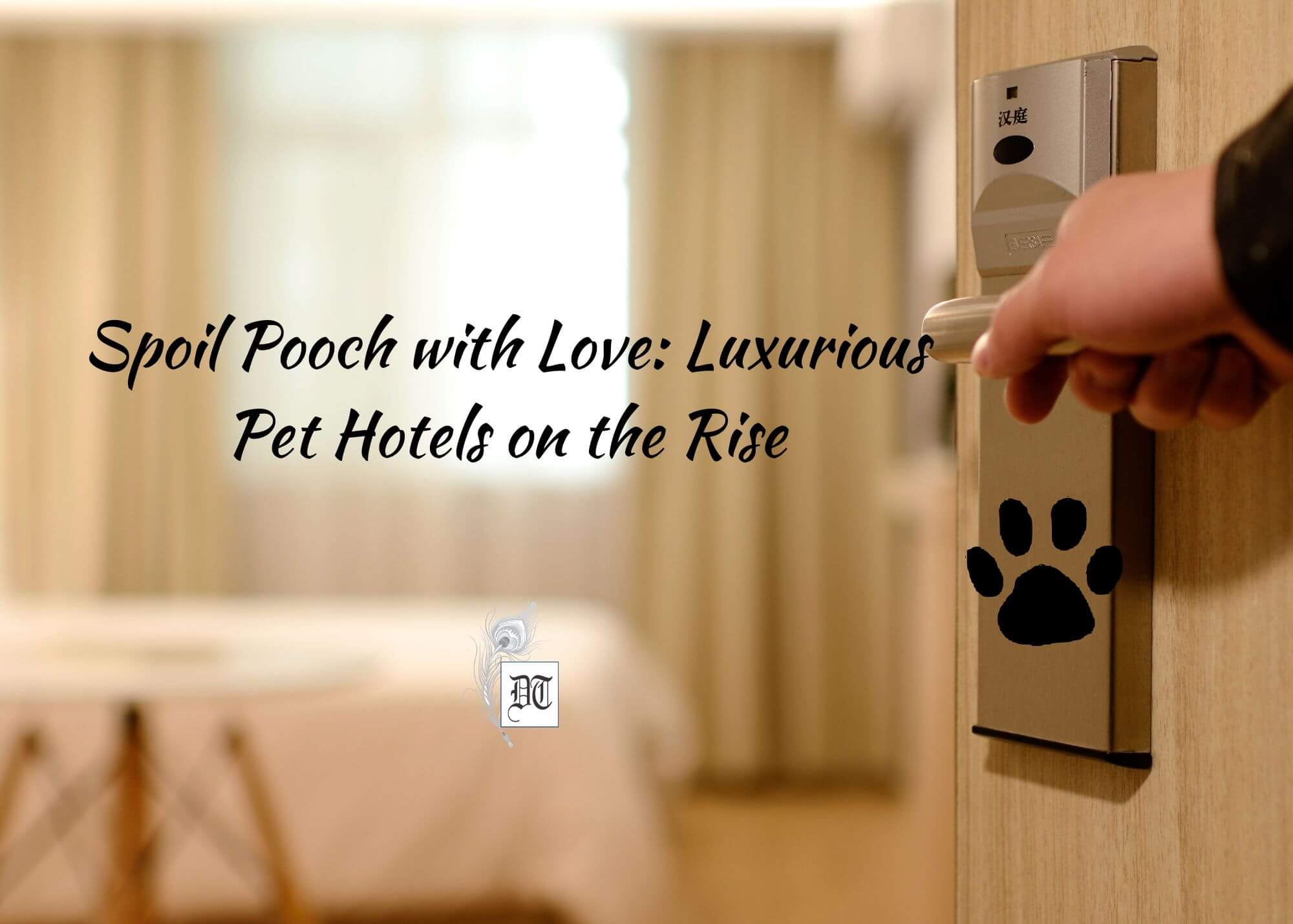 Spoil Pooch with Love: Luxurious Pet Hotels on the Rise