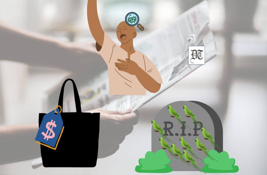 Focus: Hair Transplant Disaster, Environmental Impact, and a Bag’s Popularity