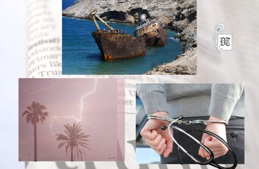 Focus: Danger to Marine Life, Palm Tree, and the Evil Doctor