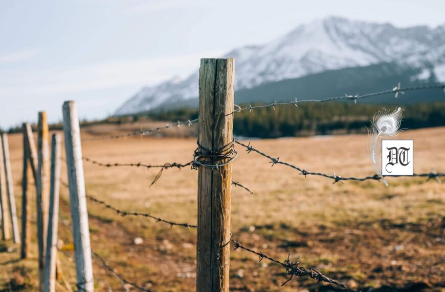 Security and Socio-Economic Impact of Illegal Immigration in India