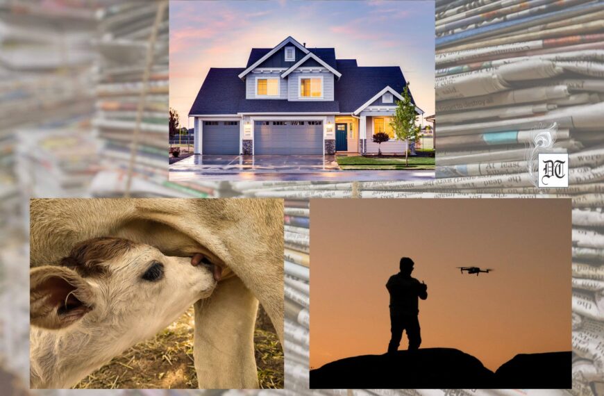 Focus: Real Estate, Turmoil over Veggie-Milk, and Talented Indian Student