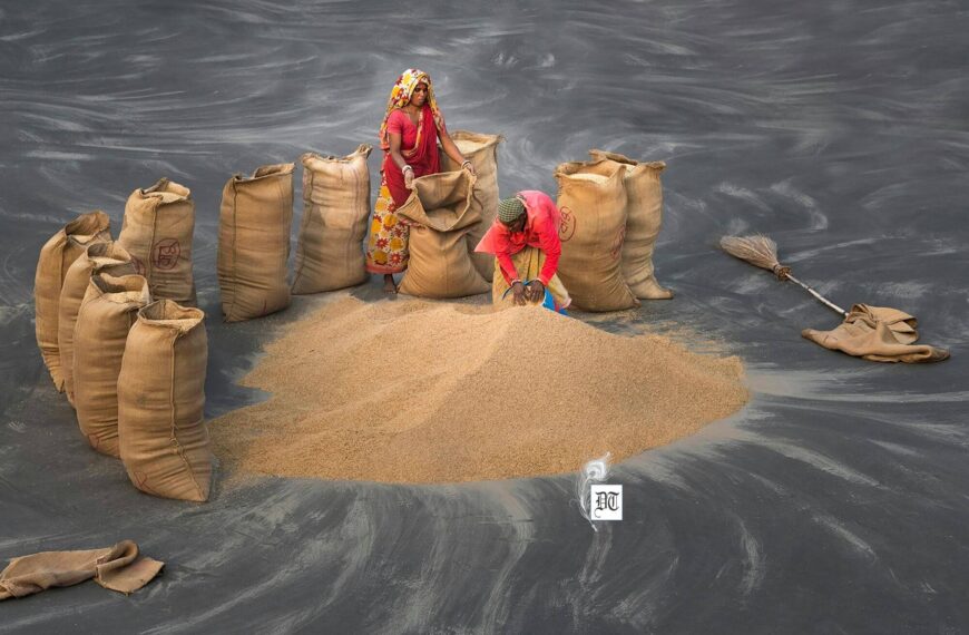 From Digital Trends to Daily Triumphs: The Real Feminism Movement