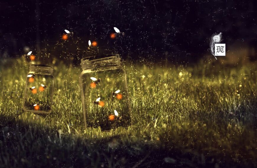 The Glow Within: How Love and Light Reflect the Divine