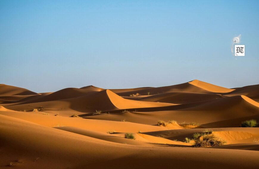 The Silent Desert: A Transforming Journey Beyond Words