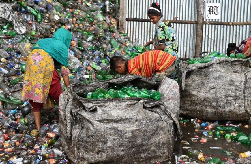 Why Ragpicker Dreams Are ‘Stone Grey’, Not Velvet