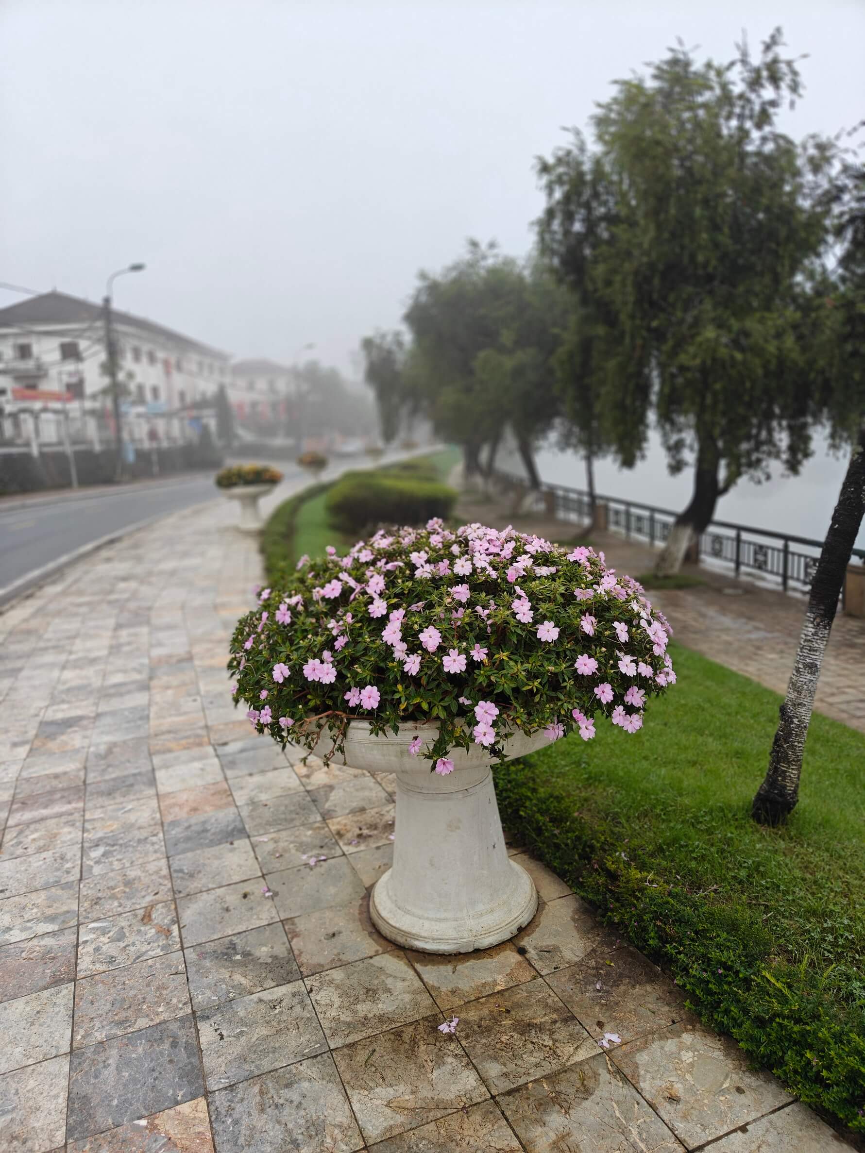 Spotlight: Why Sapa is Vietnam’s Most Breathtaking Hill Escape ...