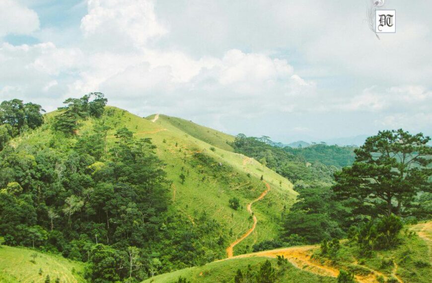 Why Annihilating India’s Ancient Hillocks is a High-Stakes Ecological Gamble?