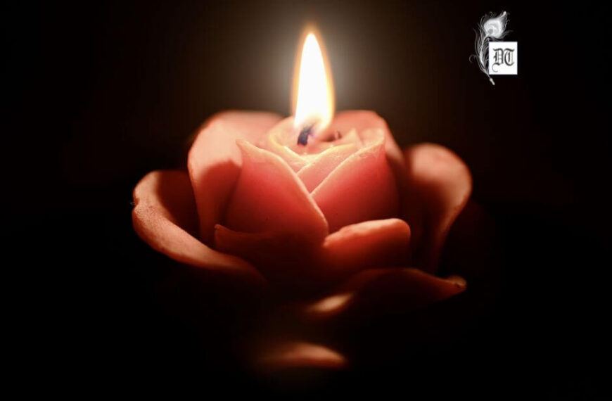 Beyond Pain: The Miraculous Bloom of a Christmas Rose