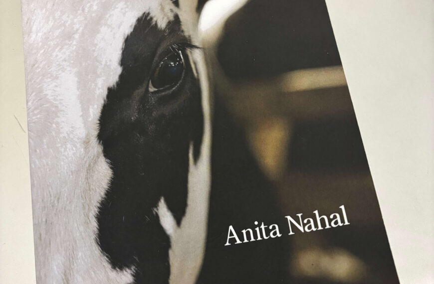 Co-existing in Kindness: Building a Non-Violent World for All