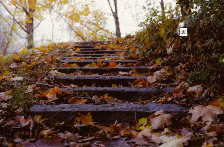 Passion’s Shadow: Grief as Love Without a Home