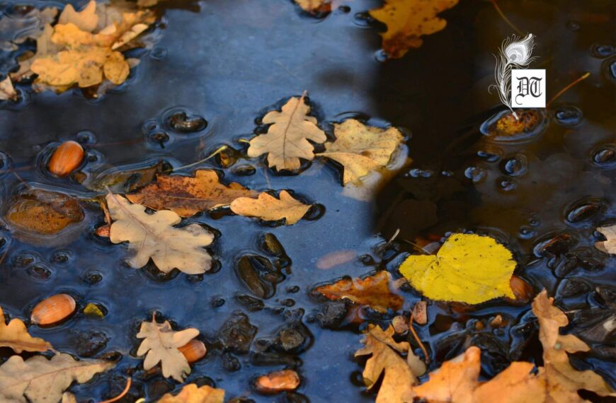 Awakening Within: The Silent Power of Change