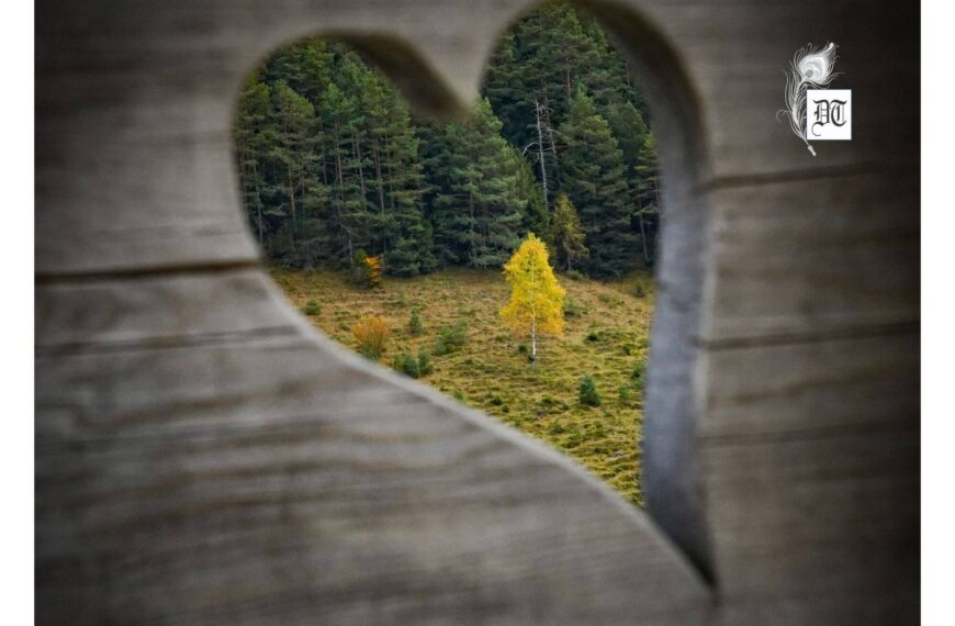 Unlock the Secret Power of Love and Healing