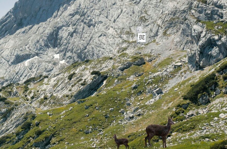 The Fragrance of Truth: Finding the ‘Source’ of Being