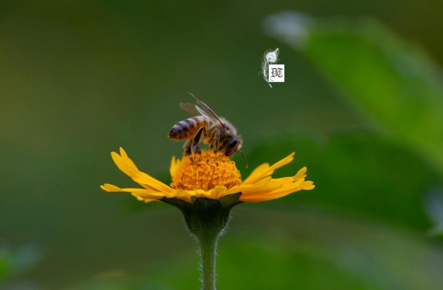 The Secret of Turning Emotional Pain into Beauty