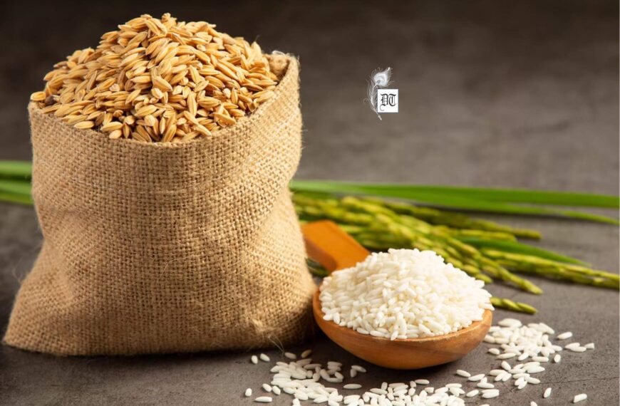 Journey of a Grain: Rice Across Continents and Cuisines