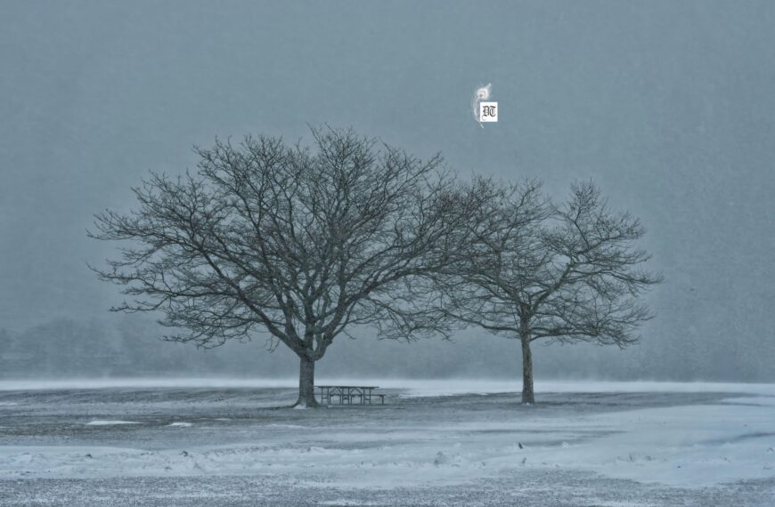 Essential Lessons on Love and Loss