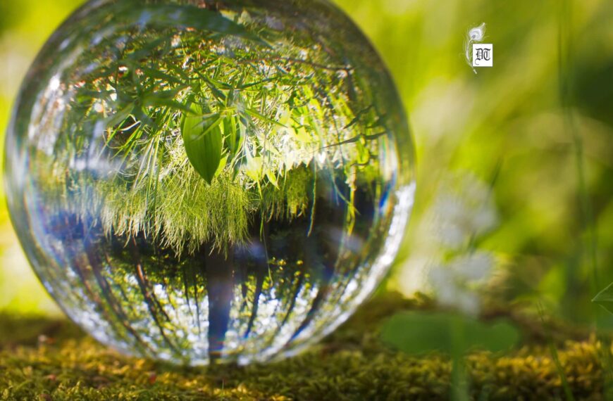 Minimalist Revolution: How to Simplify Your Life Before the Next Crisis