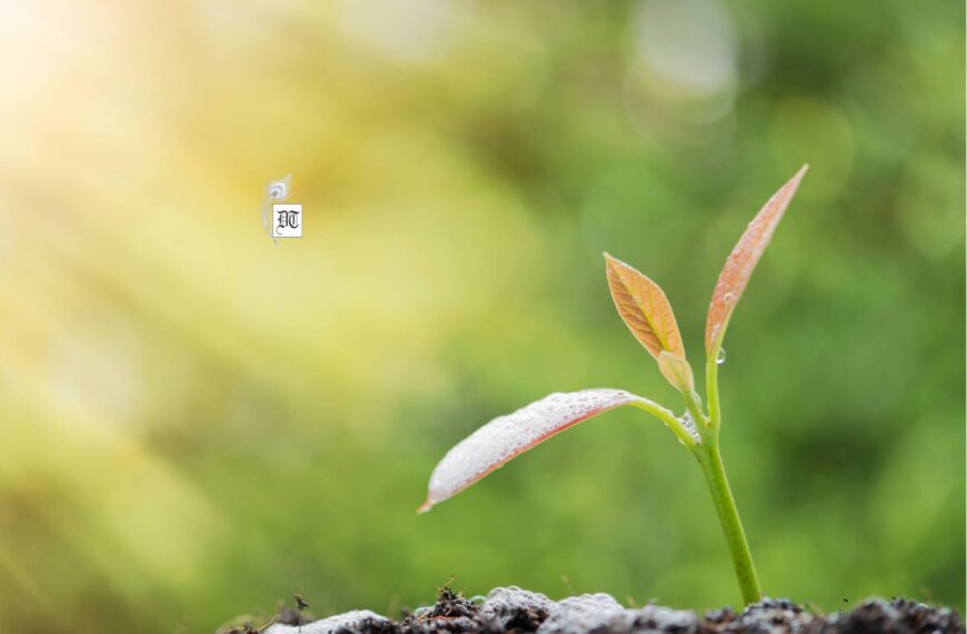 How Nature Mirrors Grief and Recovery