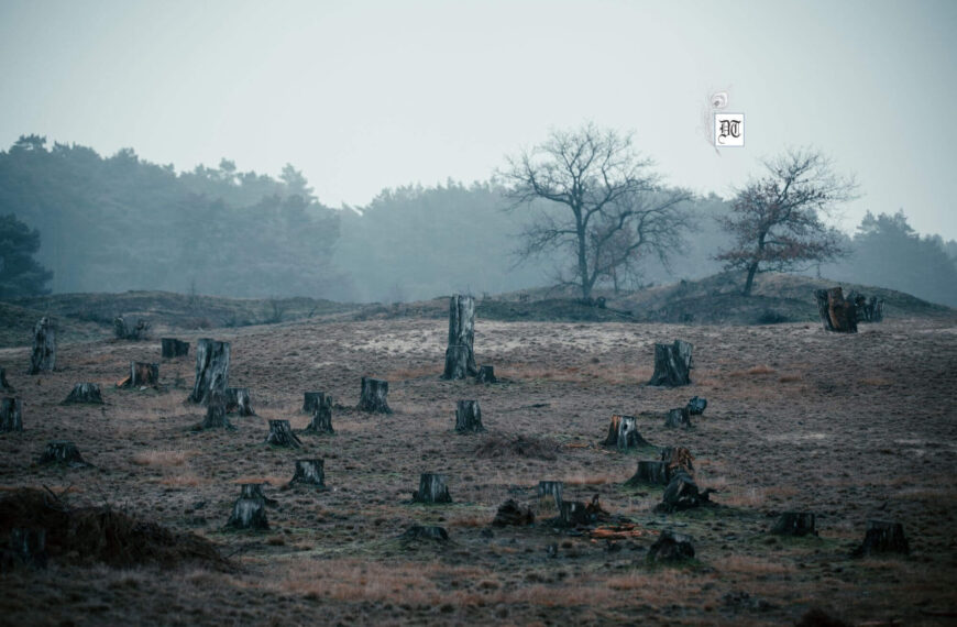 When Progress Backfires: How Human Hands Are Actively Engineering ‘Natural’ Disasters