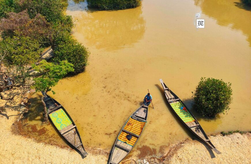 Riverside Reflections: A Journey Through Mud and Memory