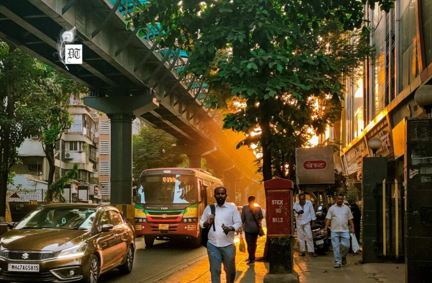 Salt Tears: The Hidden Stories Behind Busy Streets