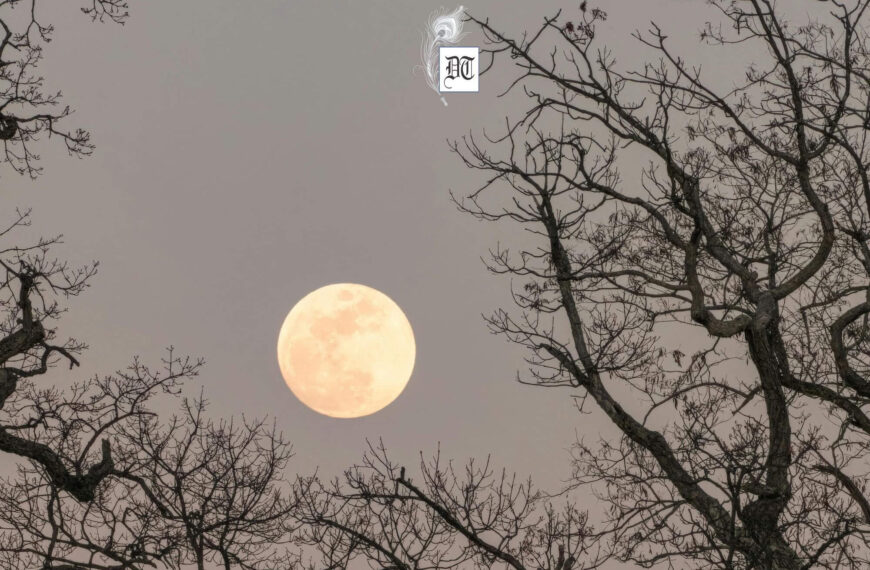 Focus: Ultimate Guide to Tagore’s Lyrical Moon Imagery