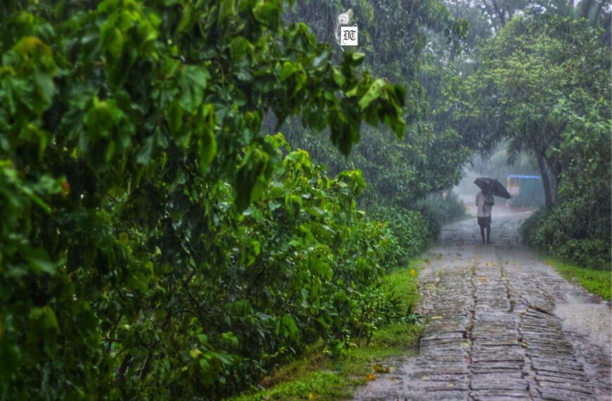 The Ultimate Monsoonal Romance, Love and Loss